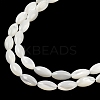 Natural Trochus Shell Beads Strands BSHE-G036-06B-3