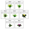 14Pcs 7 Styles Plastic Mini Bonsai Display Decorations DJEW-GA0001-11-2