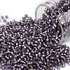 TOHO Round Seed Beads SEED-JPTR11-0039F-1