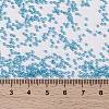 MIYUKI Round Rocailles Beads SEED-G009-RR0573-4