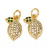 Brass Micro Pave Cubic Zirconia Charms X-ZIRC-L093-18G-1