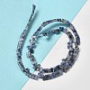 Natural Blue Spot Jasper Beads Strands G-Z045-A08-01-3