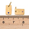 304 Stainless Steel Micro Pave Cubic Zirconia Pendants STAS-C159-01G-3