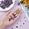 2 Strands Natural Amethyst Chip Beads Strands G-PA0001-57-3