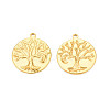 Ion Plating(IP) 201 Stainless Steel Pendants STAS-T063-186G-3