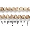 Natural Rainbow Alashan Agate Beads Strands G-NH0022-A10-02-5