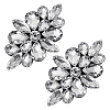 2Pcs Flower Glass Rhinestone Costume Accessories FIND-FG0004-81B-1