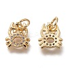 Brass Micro Pave Clear Cubic Zirconia Charms ZIRC-B002-48G-1