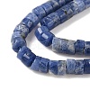 Natural Sodalite Beads Strands G-P468-19-3