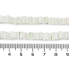 Handmade Lampwork Beads Strands LAMP-Q037-02B-19-4