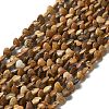 Natural Picture Jasper Beads Strands G-P575-C08-6mm-2