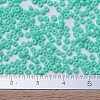 MIYUKI Round Rocailles Beads SEED-JP0008-RR4472-4