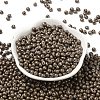 6/0 Glass Seed Beads X1-SEED-L011-08A-09-2