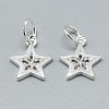 925 Sterling Silver Charms STER-T002-298S-2