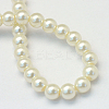 Baking Paint Pearlized Glass Pearl Round Bead Strands HY-Q003-10mm-02-4