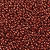 TOHO 11/0 Round Beads SEED-XTR11-PF2113-2