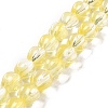 Transparent Glass Beads Strands GLAA-F114-02B-03-1