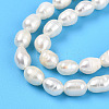 Natural Cultured Freshwater Pearl Beads Strands PEAR-N012-04V-01-4