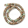 Natural Aqua Terra Jasper Beads Strands G-S366-013C-4