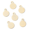 304 Stainless Steel Charms STAS-H149-04G-2
