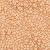 Baking Paint Glass Seed Beads SEED-L011-09A-15-3