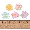 Transparent Resin Cabochons RE-CBA1274-02-3