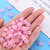 Transparent Acrylic Beads LS-X-MACR-S373-26E-08-5