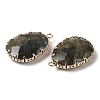 Natural Labradorite Faceted Pendants G-Q169-01G-03-2