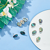 10Pcs Natural Paua Shell Cabochons FIND-BC0005-54-5