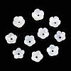 Natural White Shell Beads SSHEL-S260-053-1