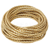 10M Round Imitation Leather Braided Cord WL-GF0001-32A-02-1