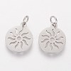 Non-Tarnish 304 Stainless Steel Pendants X-STAS-Q201-T449S-2