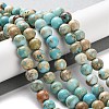 Dyed Natural Regalite/Imperial Jasper/Sea Sediment Jasper Beads Strands G-B124-C01-15-2