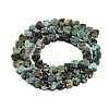 Natural African Turquoise(Jasper) Beads Strands G-M403-A26-02-3