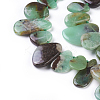Natural Chrysoprase Beads Strands G-F645-16-3