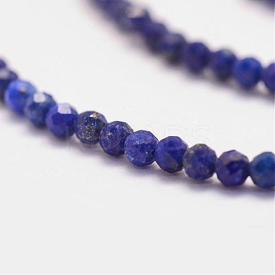Natural Lapis Lazuli Bead Strands G-P279-53-2mm-1