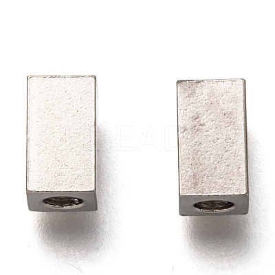 Non-Tarnish 304 Stainless Steel Beads STAS-P259-04P-1