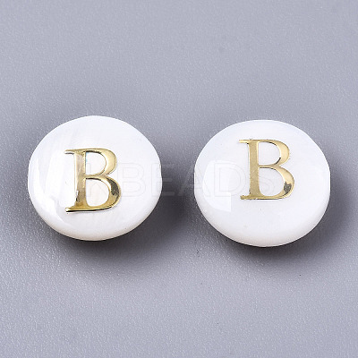 Natural Freshwater Shell Beads SHEL-S266-12B-1