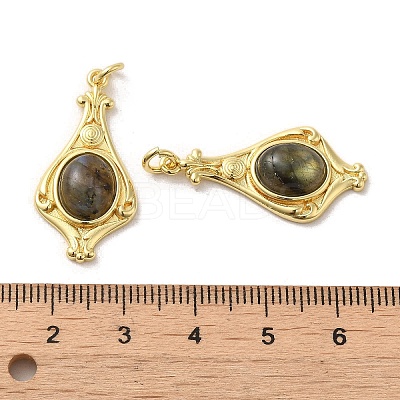 Natural Labradorite Pendants G-C096-03G-01-1