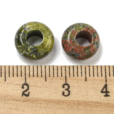 Natural Unakite Beads G-Q173-03A-21-1