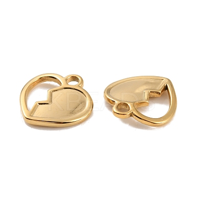 Ion Plating(IP) 304 Stainless Steel Pendants STAS-D051-32G-1