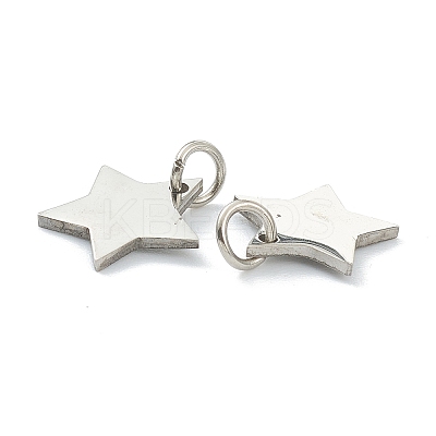 Tarnish Resistant (Defective Closeout Sale: Scratches)304 Stainless Steel Charms LS-STAS-XCP0001-34-1