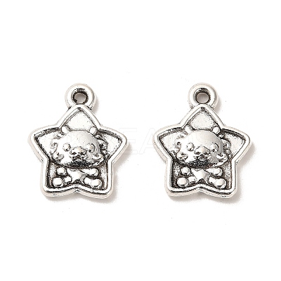 Tibetan Style Alloy Pendants FIND-C043-047AS-1