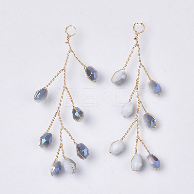 Glass Seed Beads Wire Wrapped Big Pendants FIND-S306-14D-1