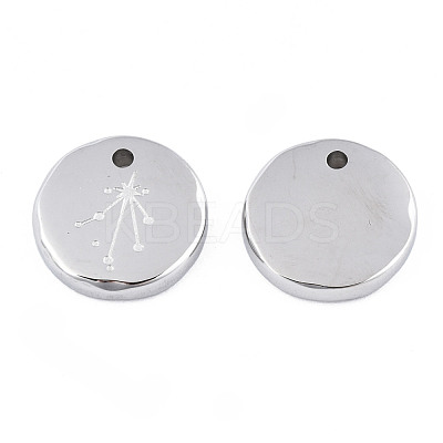 Non-Tarnish 316 Surgical Stainless Steel Charms STAS-S116-418K-P-1