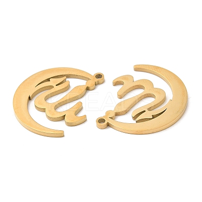 304 Stainless Steel Pendants STAS-Z041-35G-1