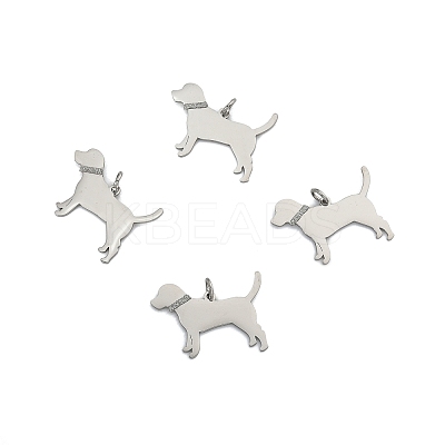 4Pcs 304 Stainless Steel Pendants STAS-FS0002-01A-1