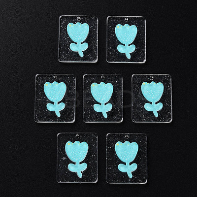 Cellulose Acetate(Resin) Pendants KY-N015-73-1