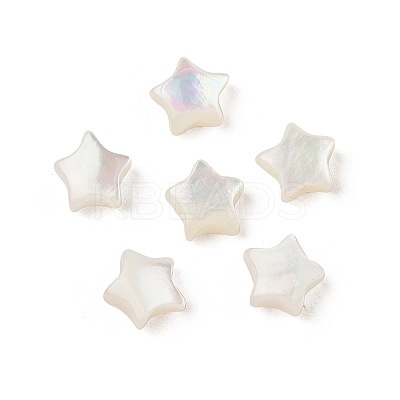 Natural White Shell Beads SHEL-R100-06A-1