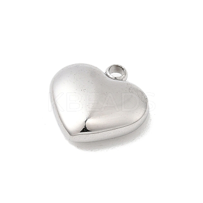 304 Stainless Steel Charms STAS-B113-04A-P-1